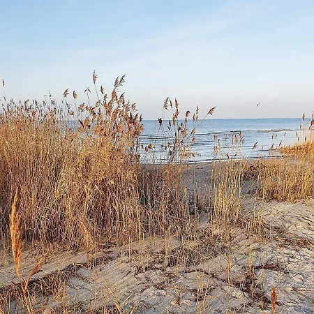 Appartement 4 Person In Wendtorf